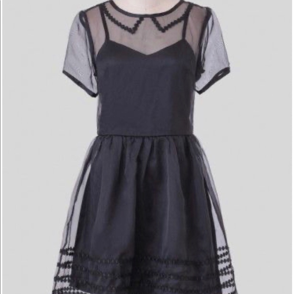 Dear Creatures sheer black party dress